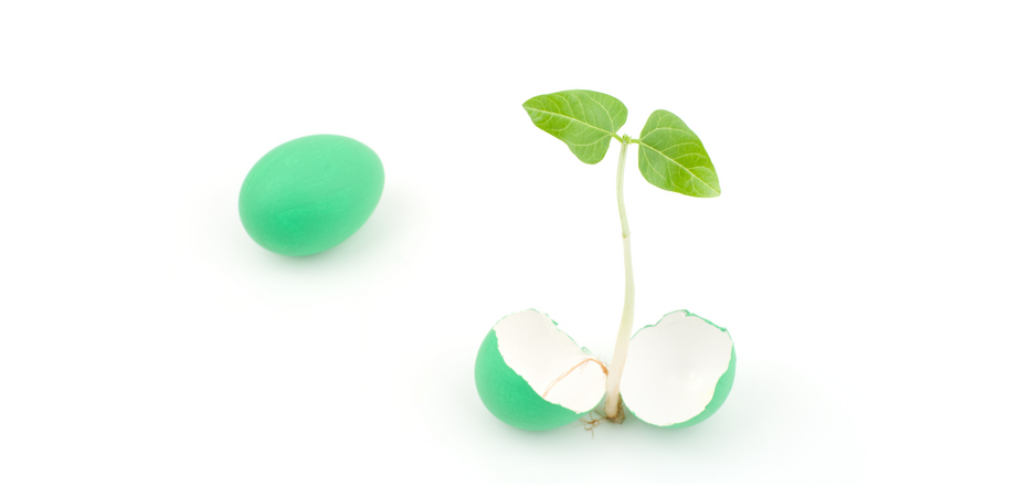 「ひらめきチャレンジ塾」とは・・・？